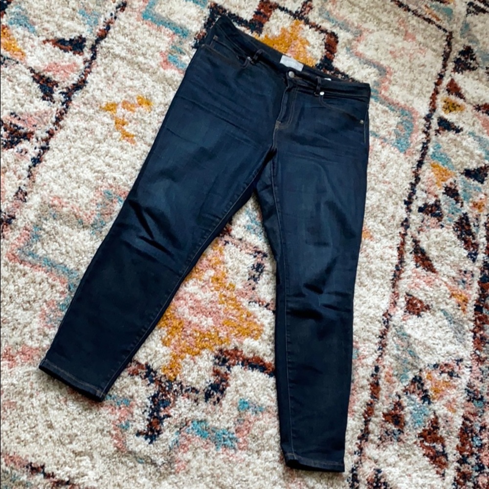 Everlane The Curvy High Rise Skinny Jean